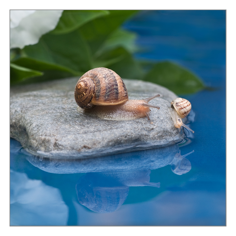 Al mare con la mia mamma..