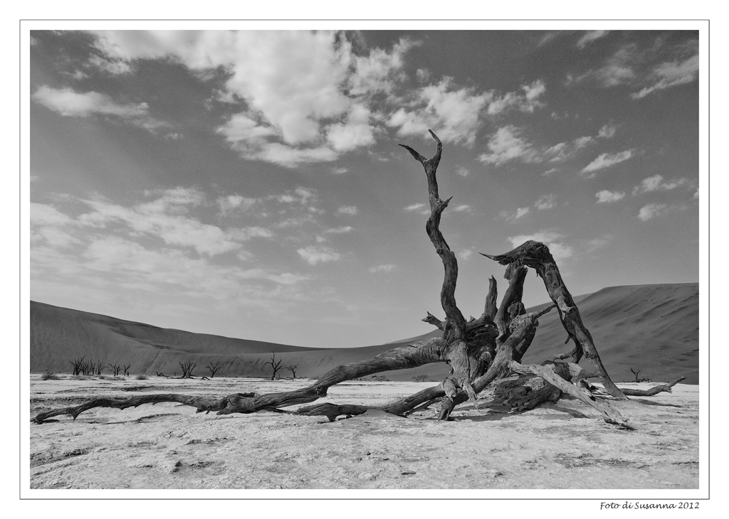 Dead Vlei
