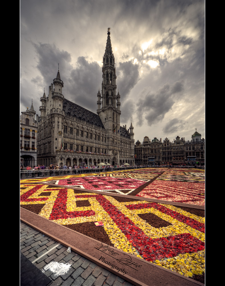 Brussels' Flower Carpet 3