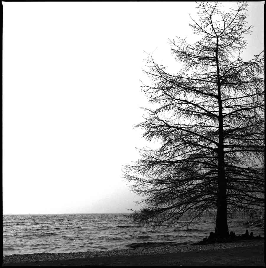 Piacevole solitudine