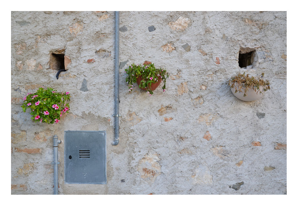 Vivere, invecchiare....morire