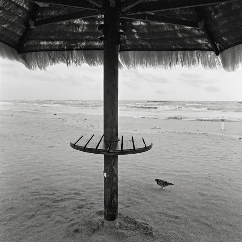 come quando fuori piove