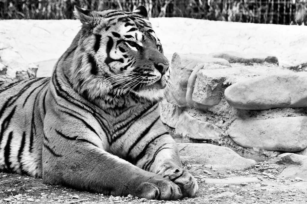 la natura crea meraviglie