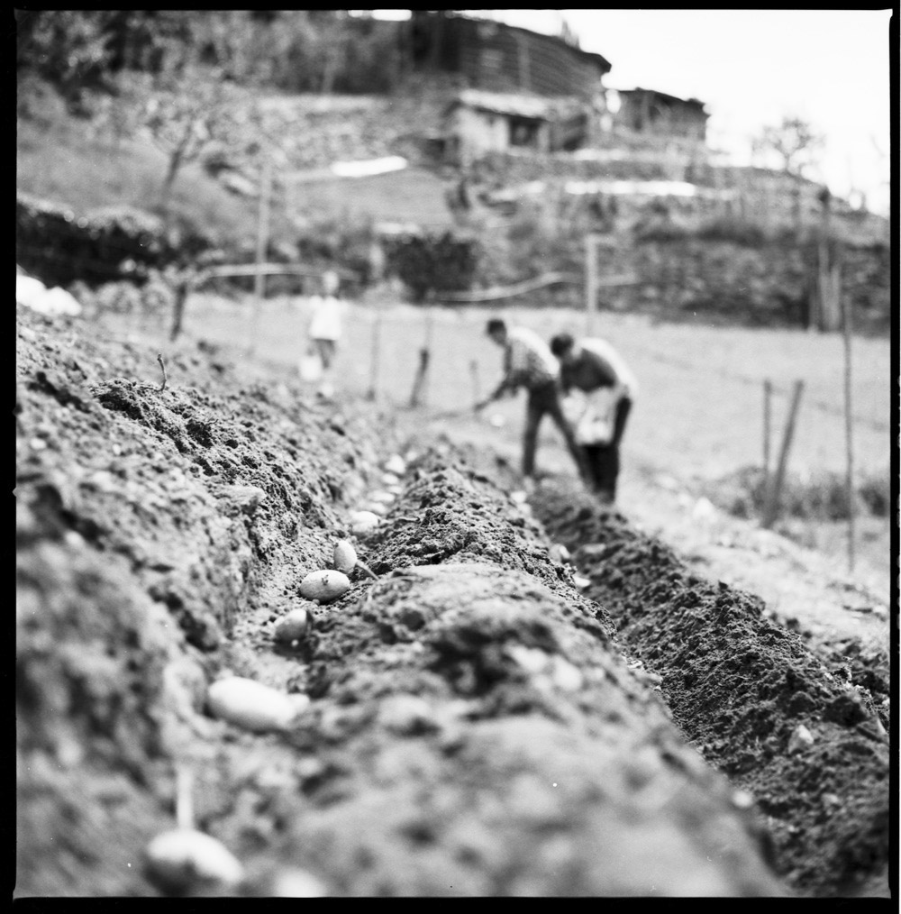 quarta ora di scienze. Esperienza su "campo"
