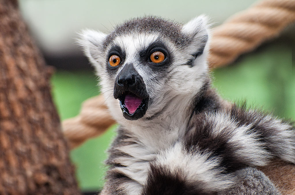 Noooooo! Non � possibile!