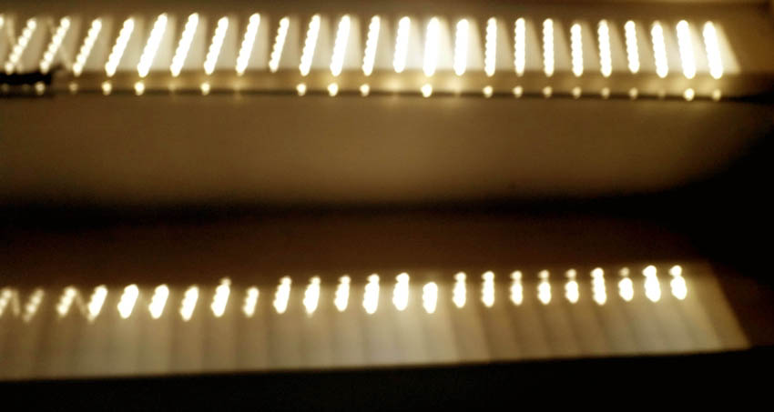 L'organo degli Dei...