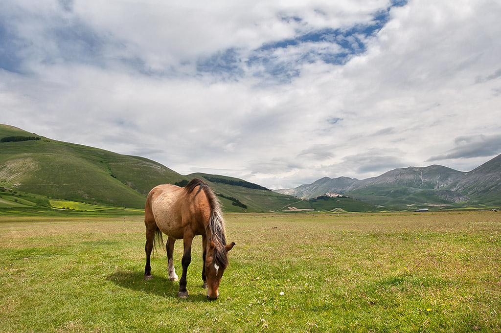Castelluccio di Norcia