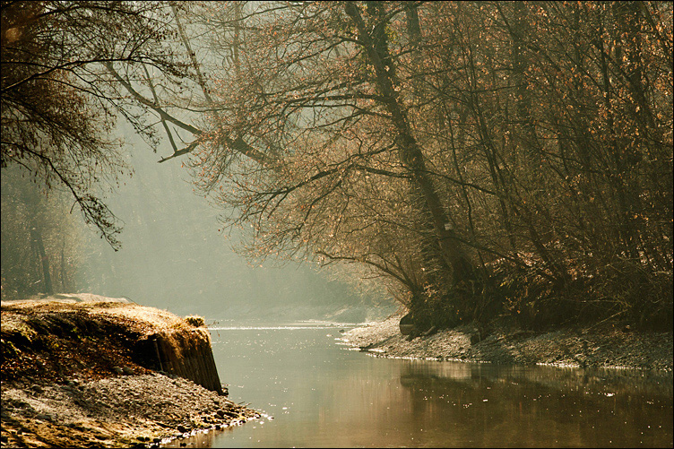 Ombre e delizia...
