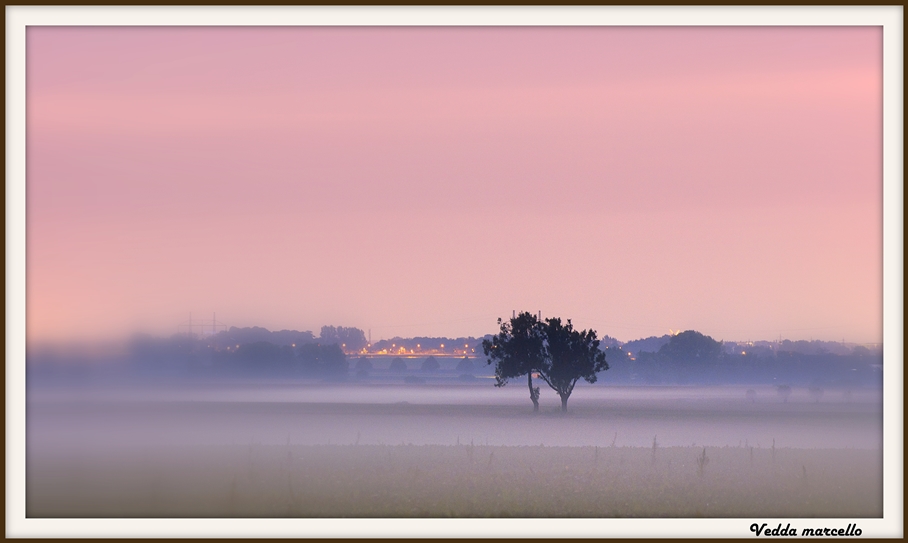 La nebbia del mattino