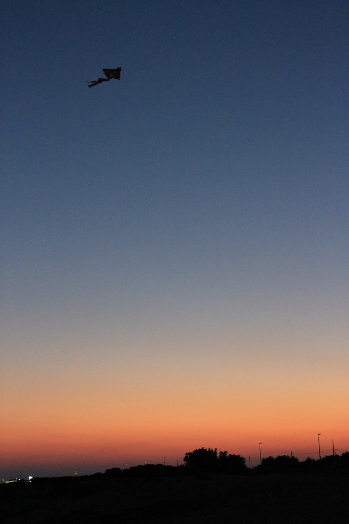 Silenziosa shilouette