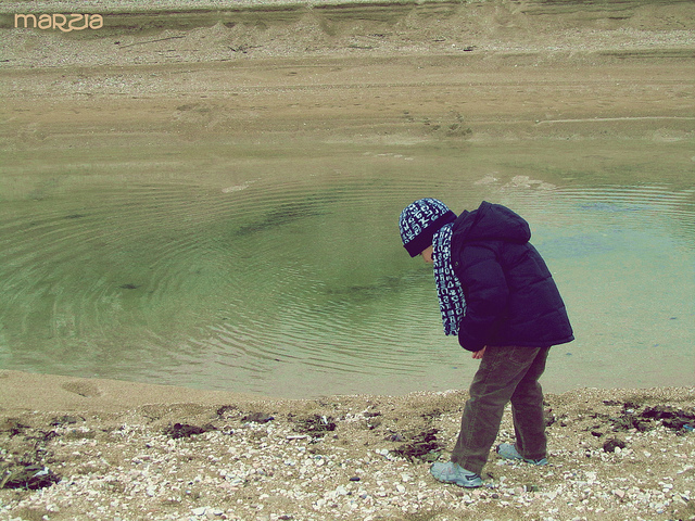 Cerca la felicit� nelle piccole cose