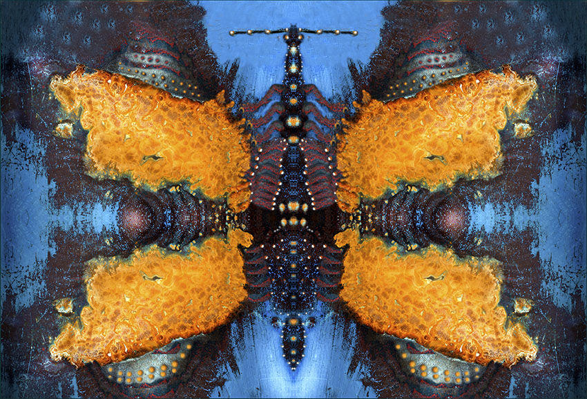 Farfalla meccanica arrugginita � 2012