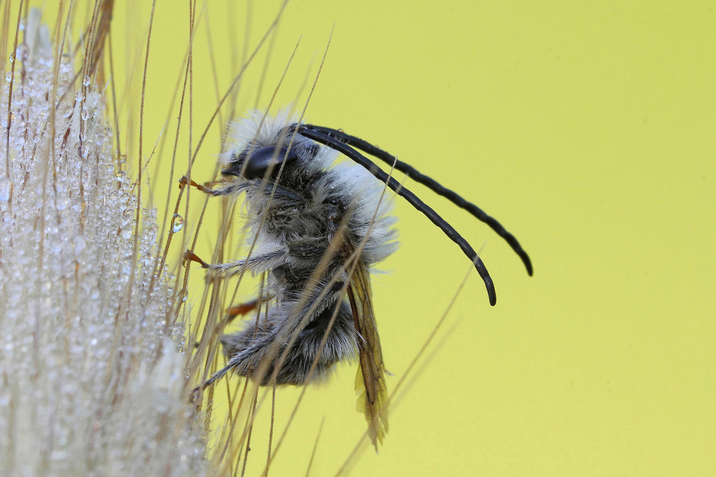Il Suo Rifugio...!!!