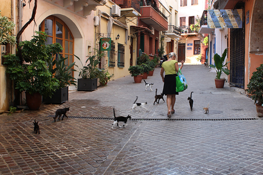 La signora dei gatti