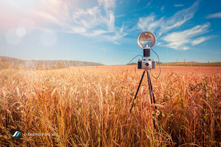 Vintage camera