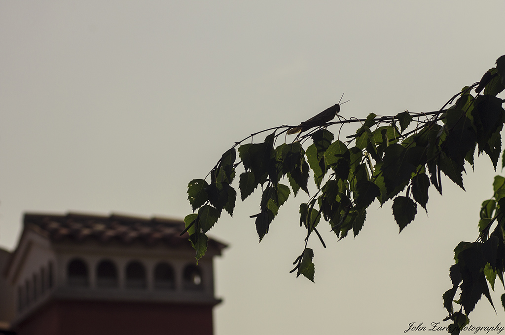 Ultimo sole di settembre