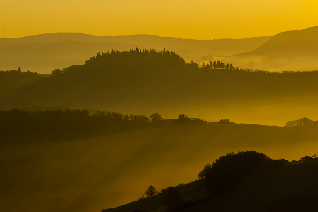 Crete senesi - alba dorata