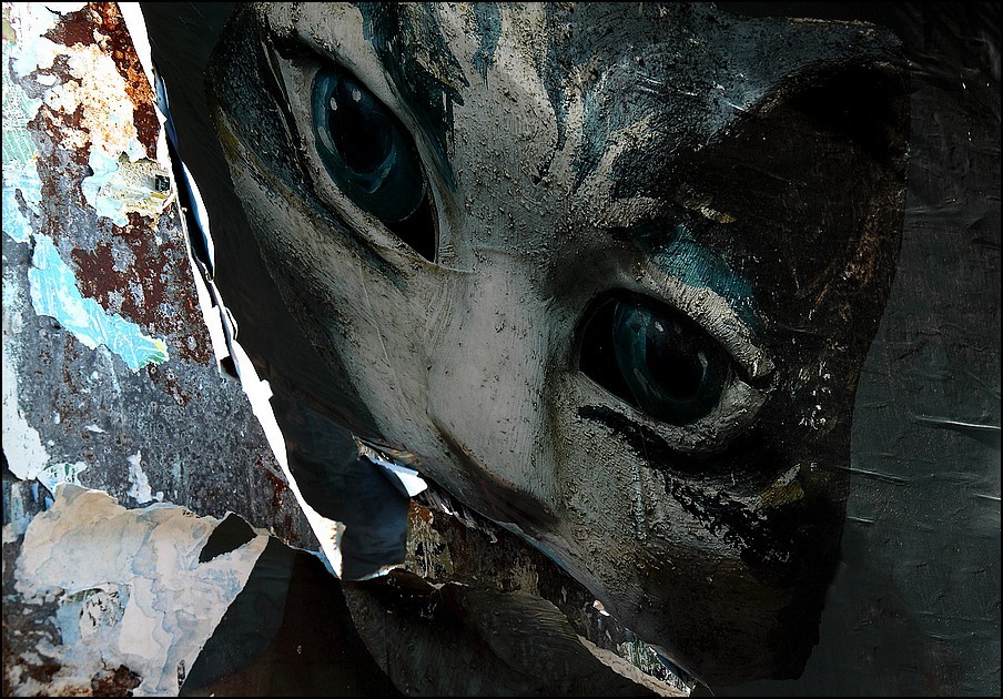 Uno sguardo felino - Decollage