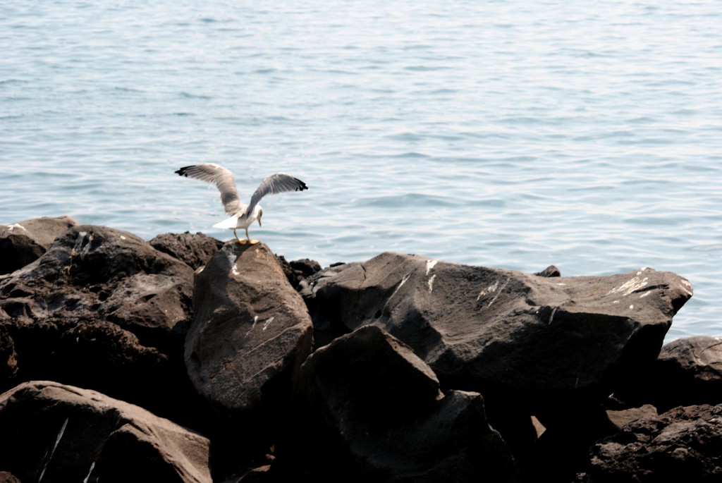 Pronti, partenza, via