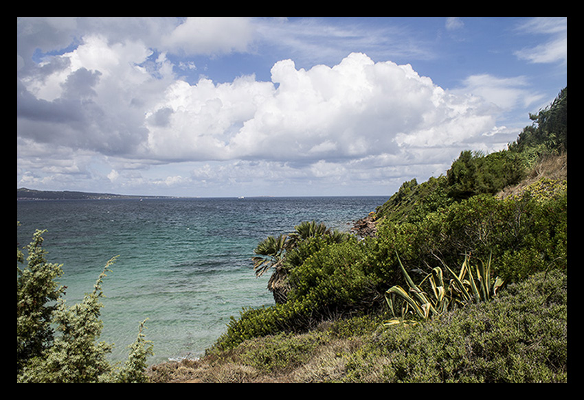 Scorcio di mare sardo