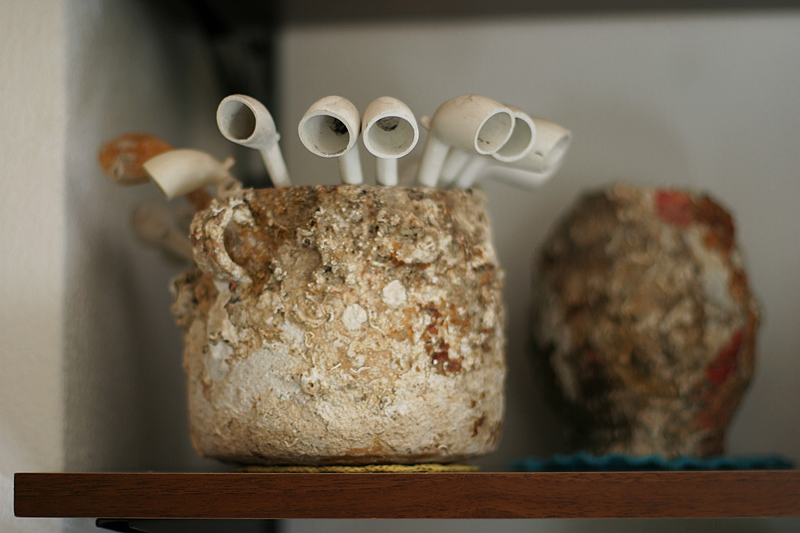 la passione di mio padre