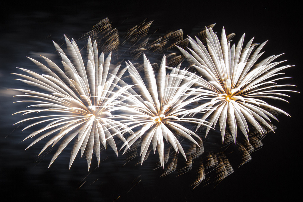 Fireworks #2: Fiori bianchi