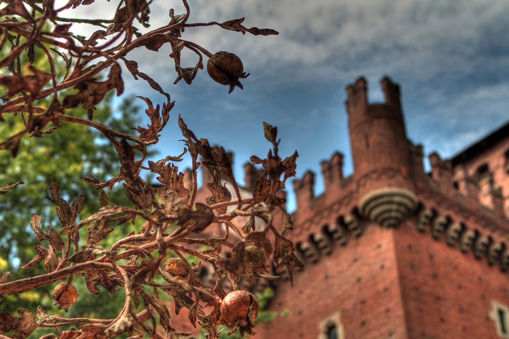 Fontana del Melograno #2