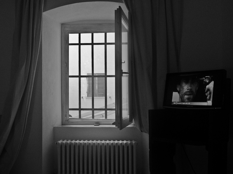 Friedlander tribute 2