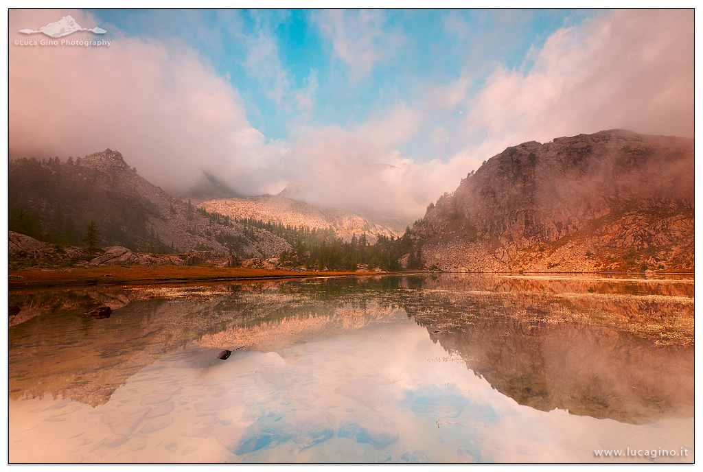 GOLDEN REFLECTIONS II