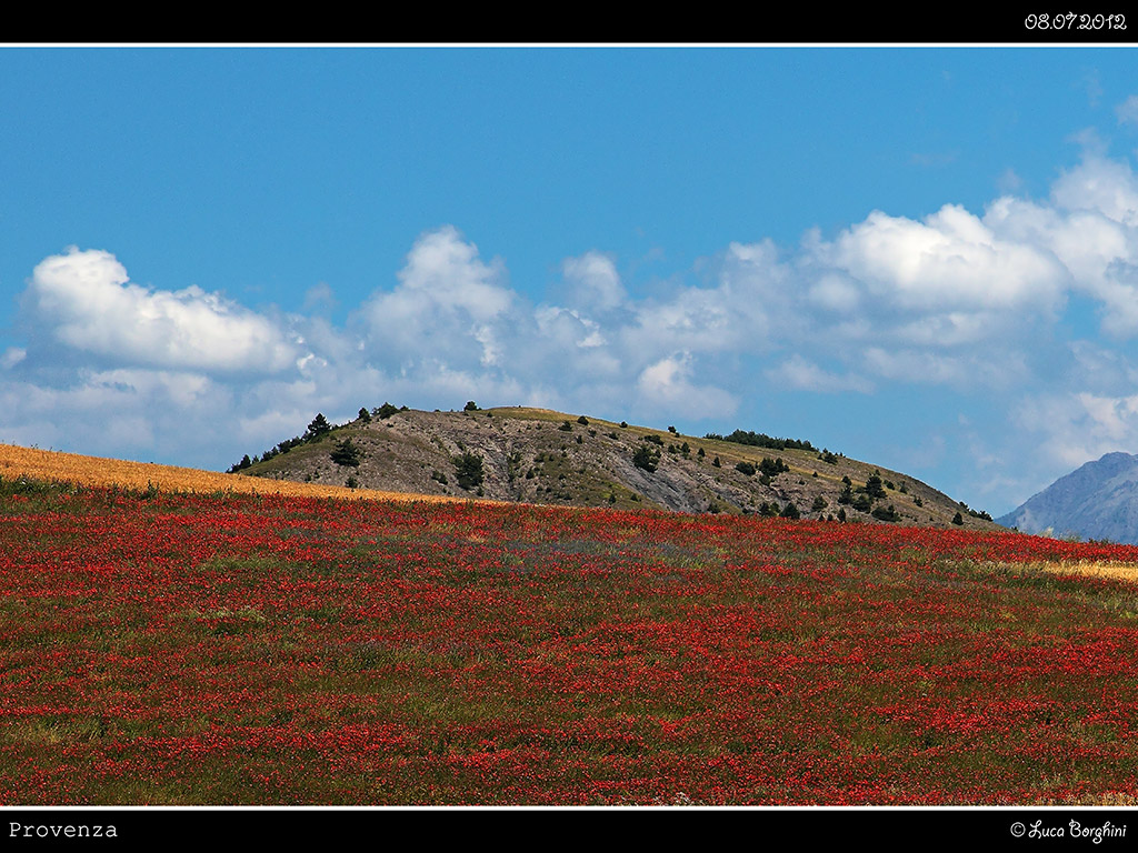 Provenza # 5