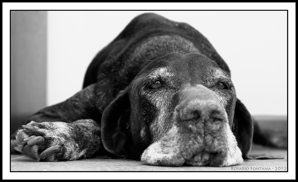 Nicola che aspetta [Contest 65: L'Attesa]