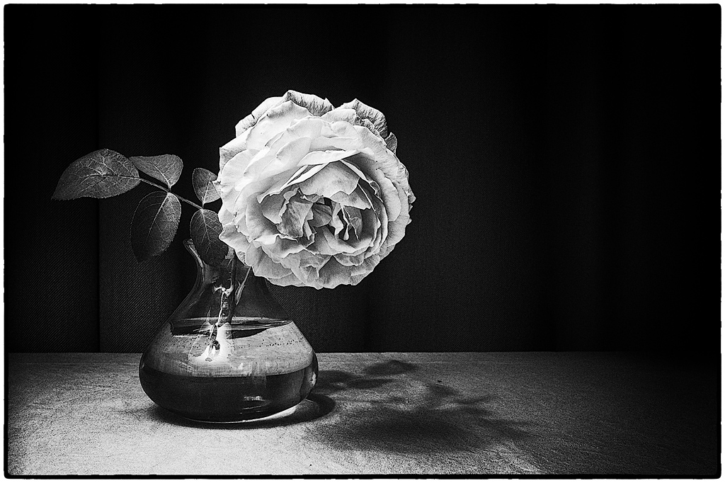 Omaggio al coraggio di tutte le mamme e alla donna che ha dato al mondo mio figlio.