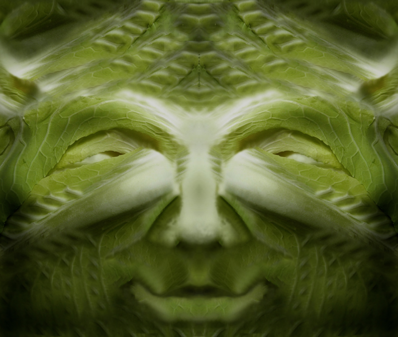 Creatura verde �   2010  riv 2012