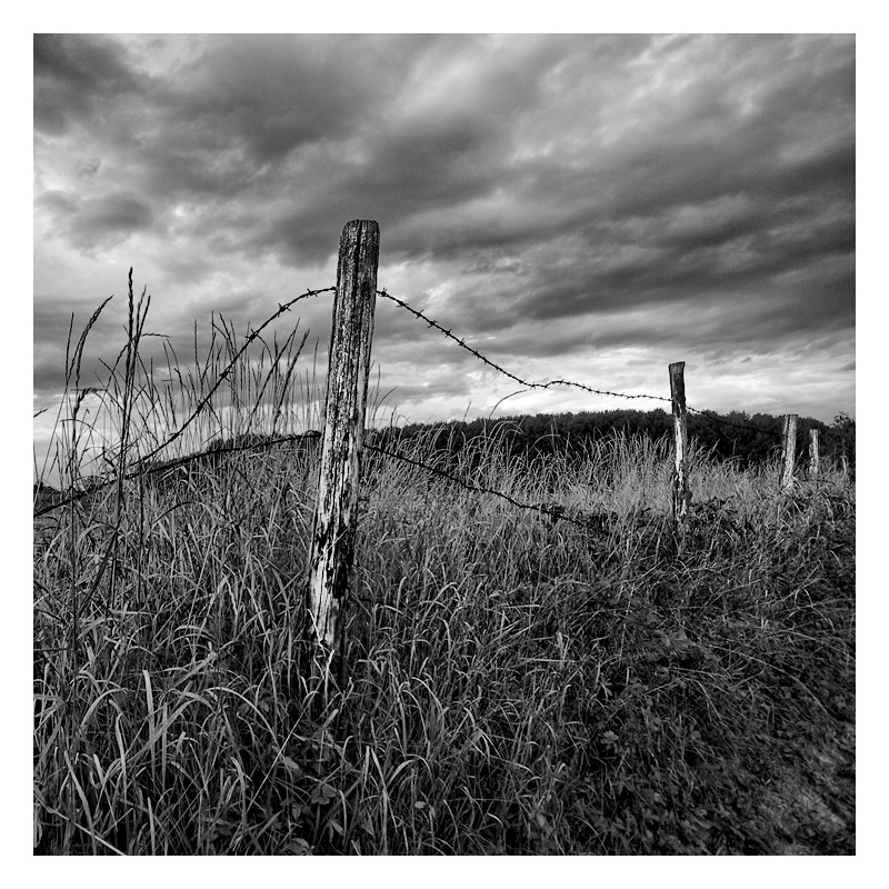 la privata propriet�