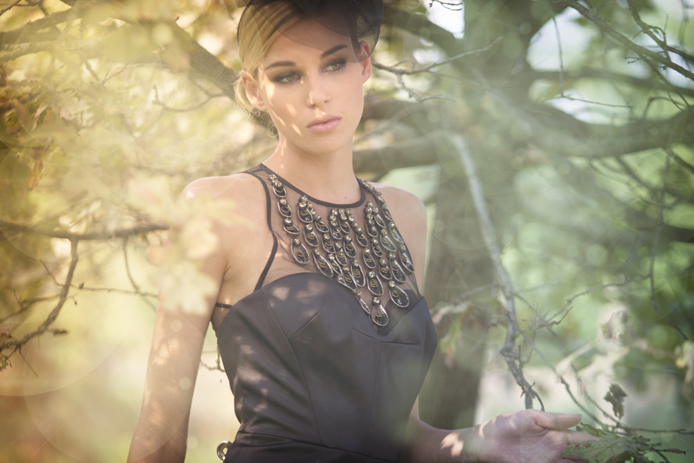 Dreaming a new world