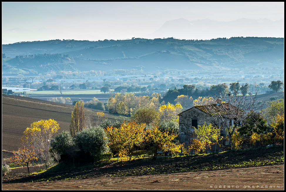 Campagna marchigiana
