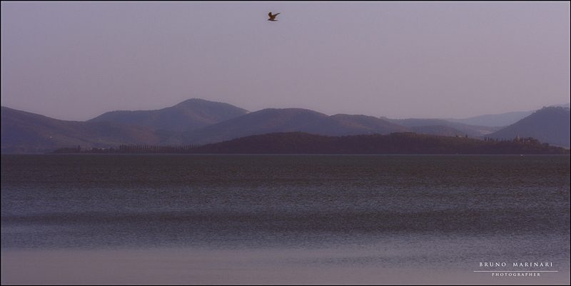 Volo e libert�.....