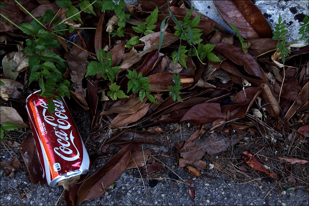 Les feuilles mortes se ramassent � la pelle