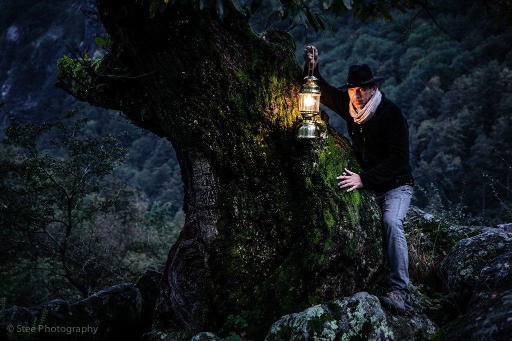 Alla ricerca del bosco perduto