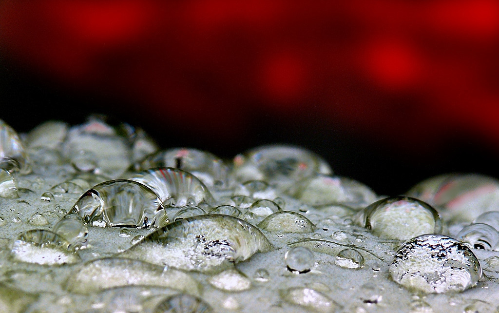 *** Una valle di lacrime ***