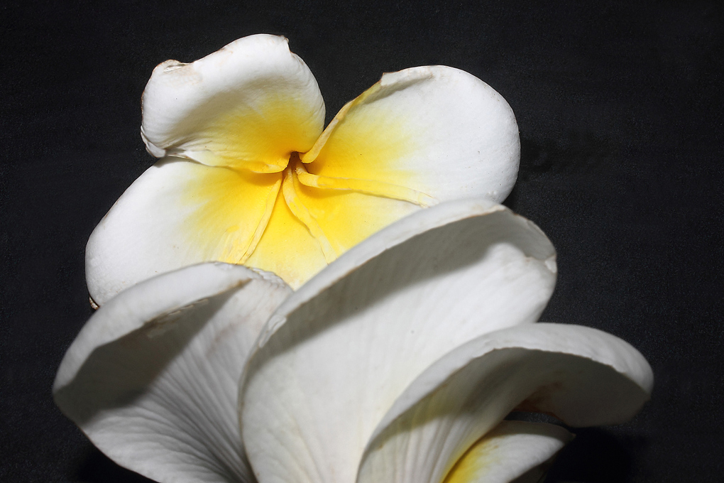 uno di fronte all'altro