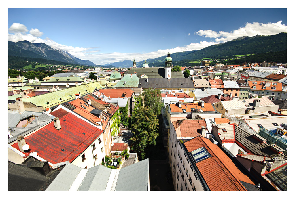 Sui tetti  come i gatti.....