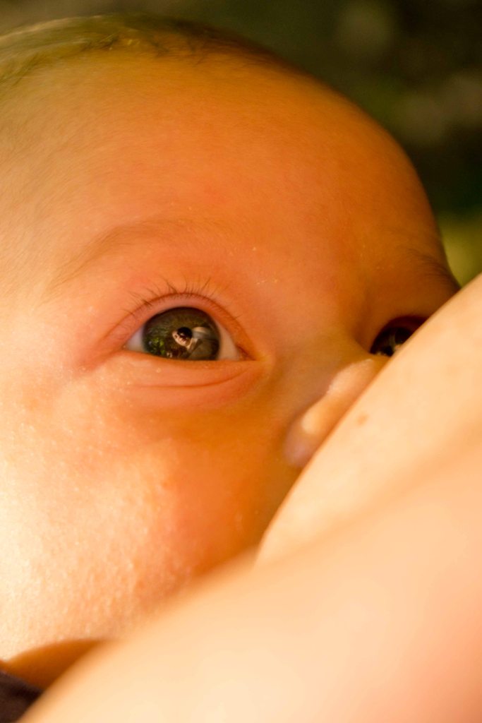 occhi solo per la mamma...