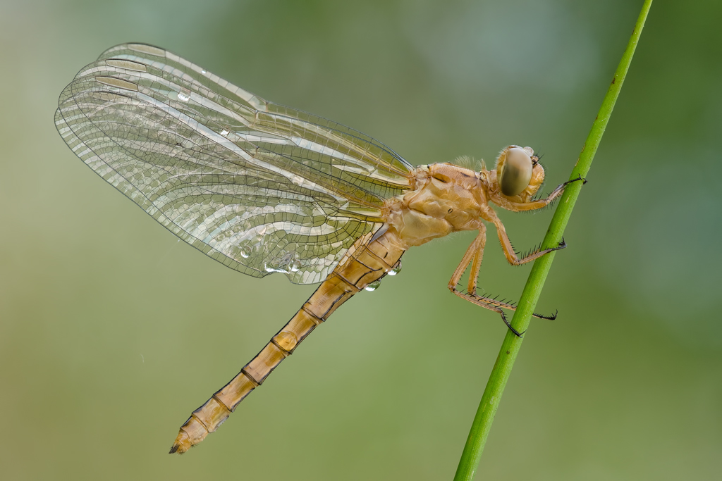 Una nuova avventura...