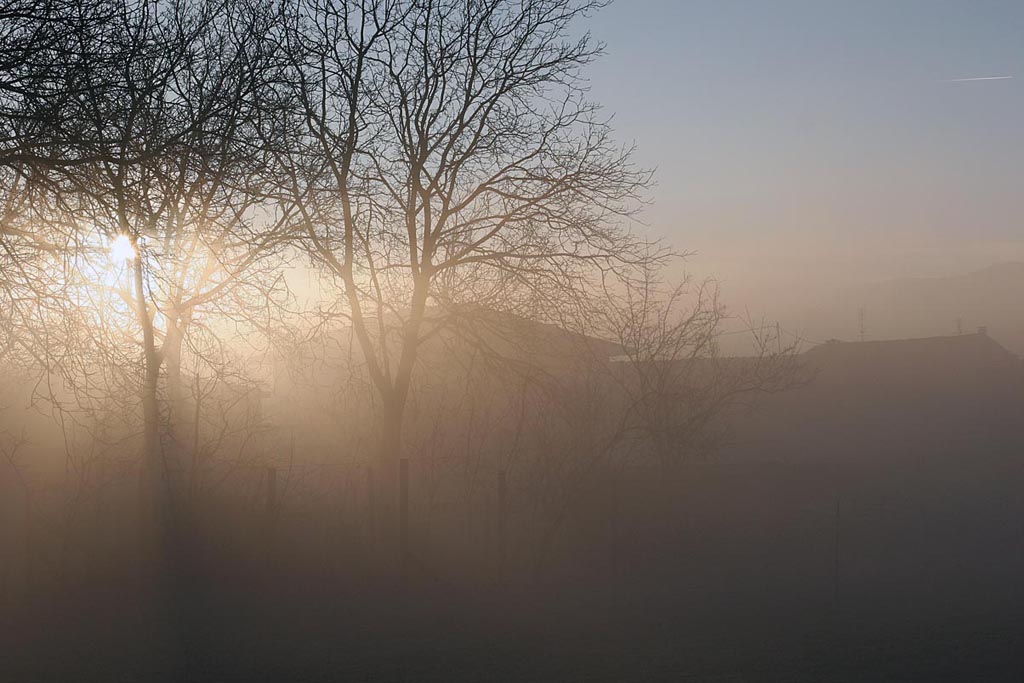 La nebbia.... insolita