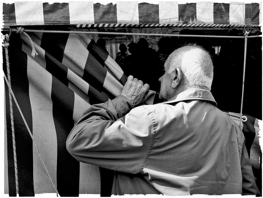 la curiosit� � femmina