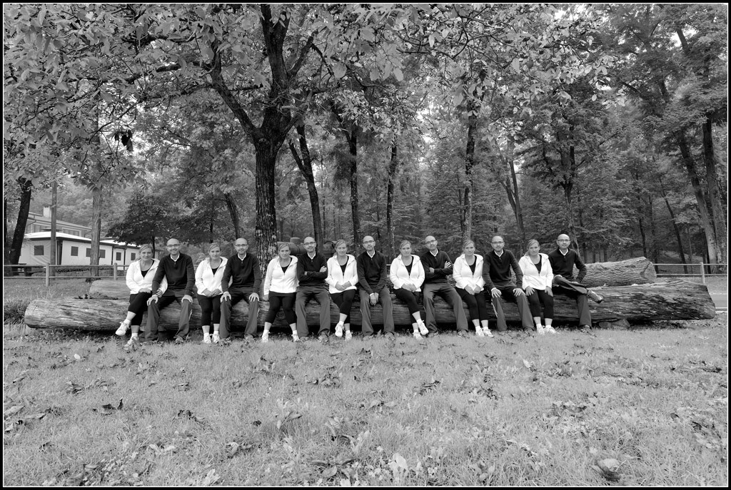 . . .  pezzi di ricambio  . . .  (usati)