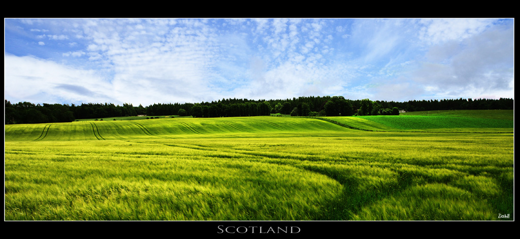 Scotland