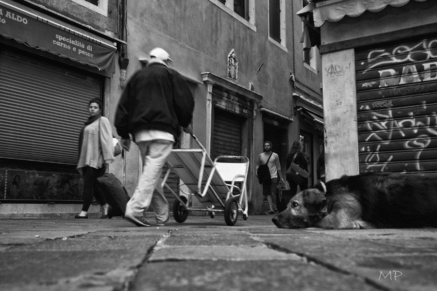 street photography #2#
