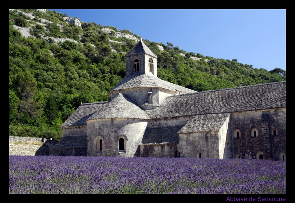 Abbaye de Senanque